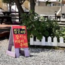 [신안] 바다뷰 글램핑 : 천사섬 캠핑 &amp; 글램핑 엔젤 글램핑 이용후기