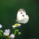 금강정비 이미지