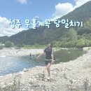 성주 산그늘펜션 | 대구 근교 계곡 성주 무흘계곡 취사가능 평상 당일치기 산그늘 펜션