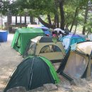 민들레울 이미지