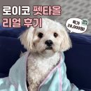 파트너펫 | 로이코 초극세사 펫타올 강아지 목욕타올 후기