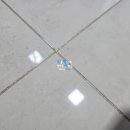 스카이크린 이미지