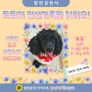 아가토토