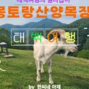 연화2목장 이미지