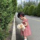 태광미디어 | 아기랑 나주산림자원연구소, 우주드림, 3917마중 카페, 태광갈비, 꼬숑 키티 원피스