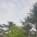 김영기 농장 이미지
