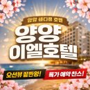 호텔리얼 | 양양 오션뷰 숙소 찾는다면? 양양이엘호텔 리얼 후기