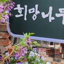희망건어물 이미지