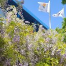 항구초등학교 이미지