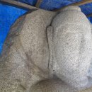 덕음암 석불좌상 이미지