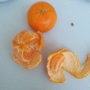 연천 아귀찜 | [SN] 간호학과 학사편입 4-1 6,7월의 일상들 / 성인실습 / 정신실습 / 짧은 여름 방학 / 영어 공부...