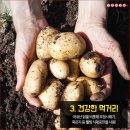 이바돔 이미지