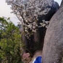 GS장암주공점 | [22.4.20~21][북도사수불][Solo] 할만한 역 불수사도북 박배낭 종주