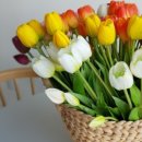 여미하우스 이미지