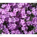 구름소리 이미지