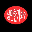 사상체질심리철학 이미지