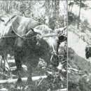 광복운송 이미지