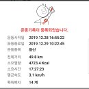 백두대간 25차 남진 15-3 구간 ::: 구룡령~진고개~대관령 (2019.12.28-29) 이미지