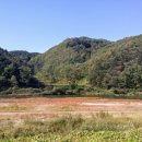 해미레2 Daum카페