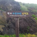 숙소 추천 :: 제주도 강아지 동반 가능한 펜션 후기 (오렌지 슈가 펜션, 필리스틴 펜션, 레드클레이 펜션)