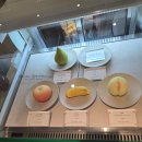 파티세리 후르츠(Patisserie Fruits) | [압구정/ 압구정로데오카페] 흑백요리사2 디저트맛집 '파티세리후르츠'