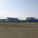 주중에 하는 야구경기 이미지