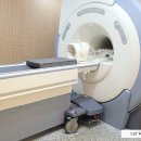 온동물의료센터 이미지