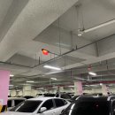 시민공원 남문 인근-1 이미지