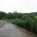 포항시북구95 이미지