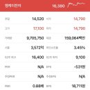 미경사 이미지