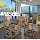 한의체형관리 | 햇빛 맛집 통창 뷰에서 즐기는 4대 기구 필라테스, 온필라테스 동백백현 솔직 후기
