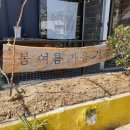 세븐일레븐논공점 | 논공카페 화이트데이 마카롱 봄여름가을겨울 구입 후기