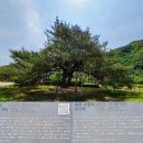 보습산 서원봉 말티재전망대 솔향공원 충북보은[22.05.25] 이미지