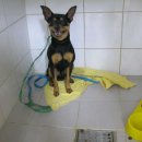 성서초교 이미지