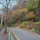 비래골경로당 이미지