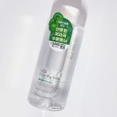 7클리어 by 씨채널 | 다이소 식물원 산뜻한 저자극 병풀 클리어 빅 토너 300ml 내돈내산 사용 후기