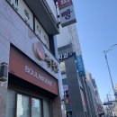 츄츄속눈썹
