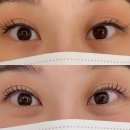 달무리 | 왜 재방문 많은지 알겠던 천안 신부동 달무리속눈썹 후기