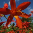 기범농장 이미지