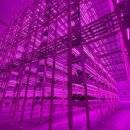 넥스트온 이미지