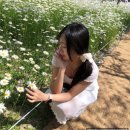 필무드(fillmood) | 파주 샤스타 데이지 카페 추천: 필무드 fillmood (근교 나들이)