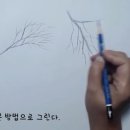 연필스케치(초급) 이미지