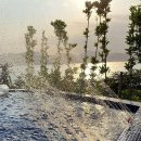 애슬로우 이미지