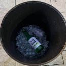 어물전 까시 | 강남 개포동 횟집 포장마차 감성의 야장술집 어물전까시