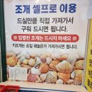 바다나무 이미지