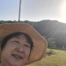 재희발전소 이미지