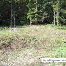 운학동 돌무지군 이미지