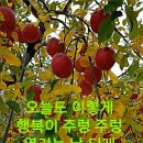 재경용문면민회 임원단합 워크샵 & 송년회 이미지