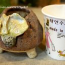 태연수제화분 이미지