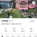 아따멍멍 네이버블로그